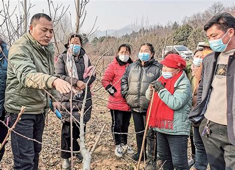 农闲时节人不闲 技术培训“充电”忙 济源文明网