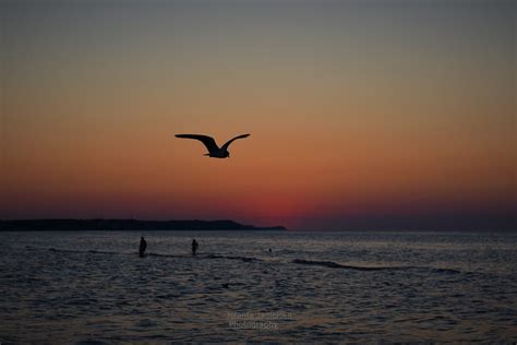 DSC 3600 At The Baltic Sea Poland Jolanta Jagielska Flickr