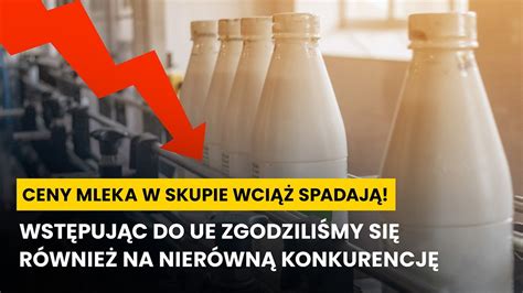 Ceny mleka w skupie znów spadają Skąd taki drastyczny spadek