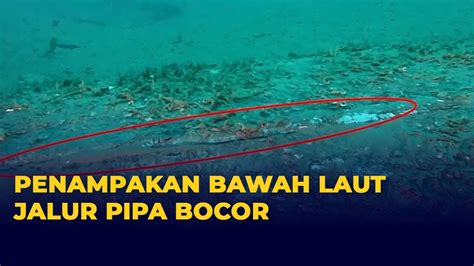 Penampakan Bawah Laut Jalur Pipa Minyak Bocor Di California YouTube