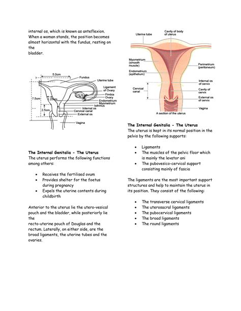 Solution Anat 100 Anatomy And Physiology Of The Female Reproductive