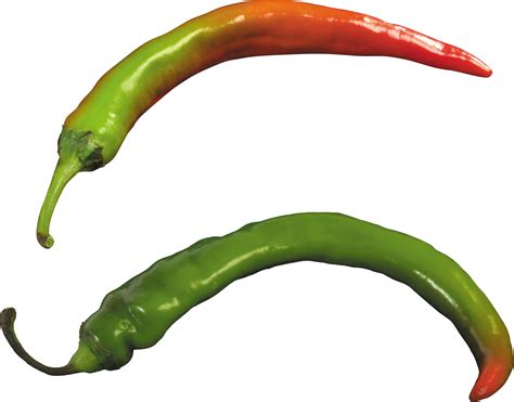 Free Jalapeno PNG Transparent Jalapeno PNG Images PlusPNG