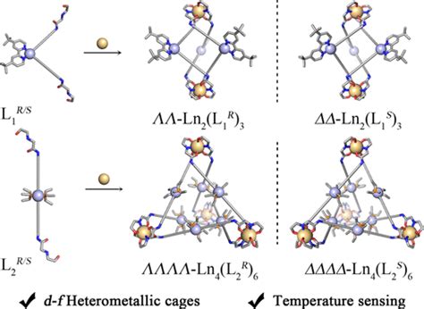 Stereocontrolled Self Assembly Of Ln Iii Pt Ii Heterometallic Cages With Temperature Dependent