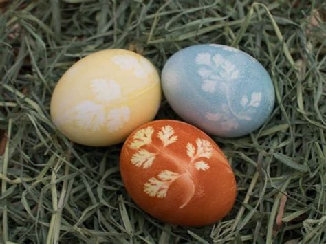 50 Easter Egg Dyeing & Decorating Ideas » Lady Decluttered