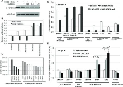 Inhibition Of G9a GLP In K562 Decreases H3K9me2 Levels And Activates