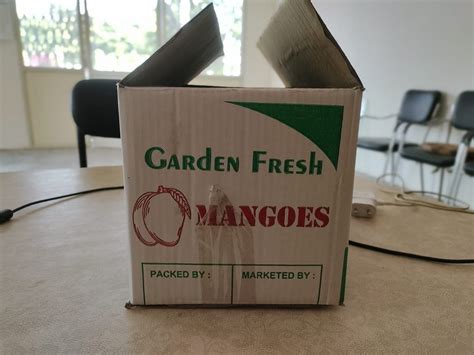 Cardboard Double Wall 5 Ply 10kg Mango Litchi Packaging Box Size 15 5 X 7 25 X 7 25 At ₹ 25