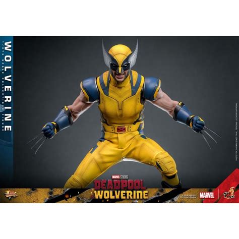 Wolverine Hot Toys Movie Masterpiece Collector Figure
