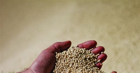 Borealis and Borealis L.A.T endorse Global Fertilizer Day - Borealis