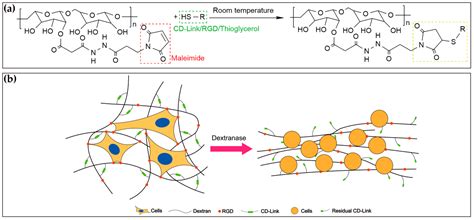 Materials Free Full Text Characterization And Analysis Of