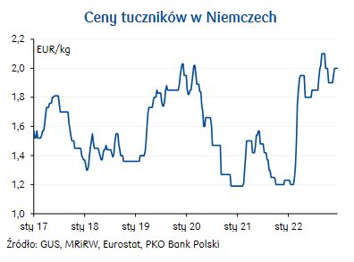 Jakie są prognozy cen tuczników na 2023 rok