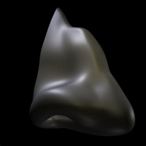 Nose 3d Models For Download Turbosquid