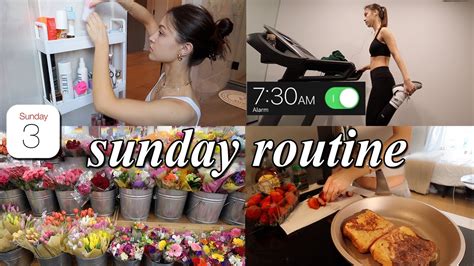 Productive Sunday Reset Vlog Organizing Grocery Shopping Deep