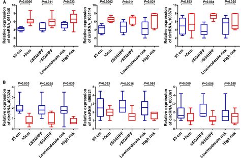 Frontiers Identification Of Circrnamirnamrna Regulatory Network In