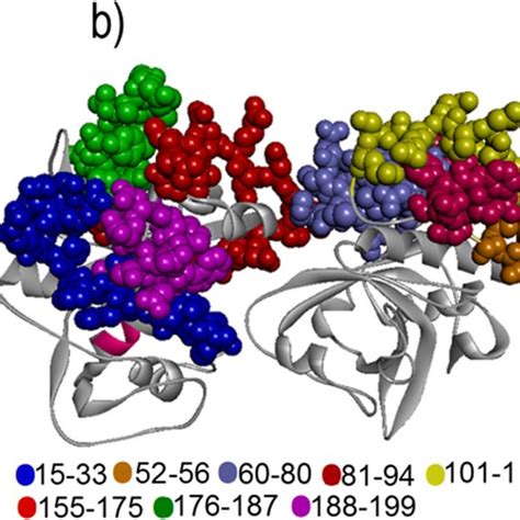 The Ribbon Representation Of The Alt A Dimer A Disulfide And