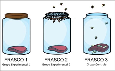 Microbiolog A Flashcards Quizlet