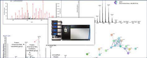 Metabolomics Proteomics Biotech