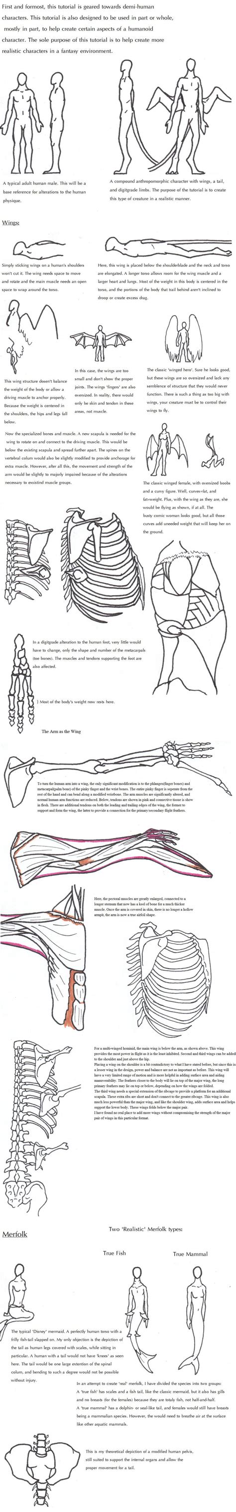 Humanoid Tutorial -edit- by arourallis on DeviantArt