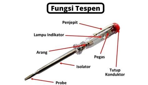 Pengertian Tespen Fungsi Dan Cara Menggunakanya Yang Tepat