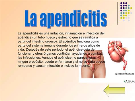 El Sistema Digestivo Y Sus Enfermedades Ppt