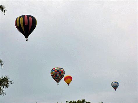 Forest Park Balloon Festival Regenaxe