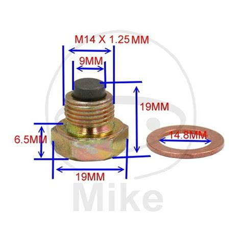 Stopfen Ölablass M14x1 25 723 93 12 Cagiva 1000 Navigator 2000 2005 Ebay