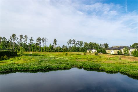 Constructed Wetland in Stormwater Management — Dragonfly Pond Works