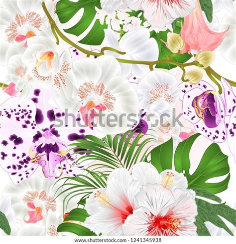 Seamless Texture Branch Orchids Flowers Phalaenopsis Stock Vector