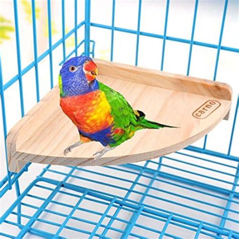 Bird Perch Platform Stand，wood Perch Bird Platform Parrot