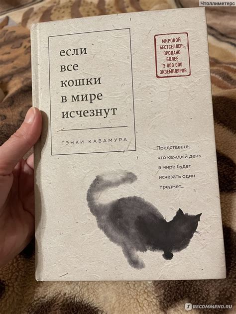 Если все кошки в мире исчезнут. Гэнки Кавамура - «Уютный плед перед ...