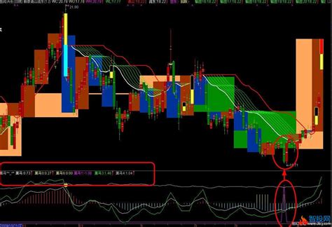 通达信黑马指标公式通达信爱约股