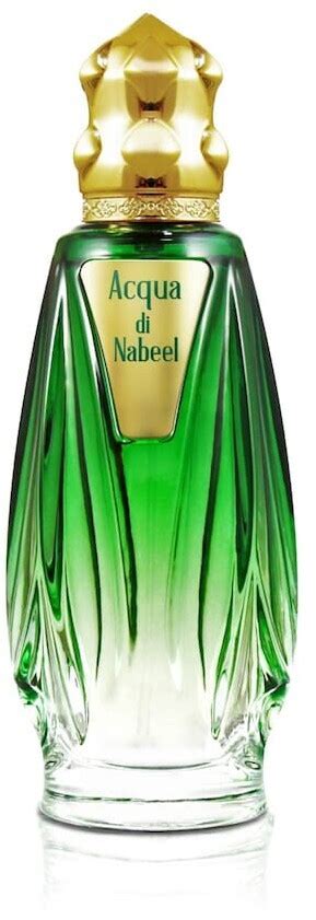 Nabeel Acqua di Nabeel Eau de Parfum (100ml) ab 30,00 ...