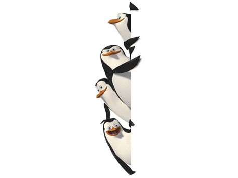 🔥 [50+] Penguin Family Wallpapers | WallpaperSafari