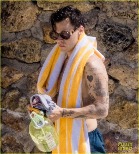 Shirtless Harry Styles Looks So Hot In These New Photos From Italy Photo 1314390 Photo