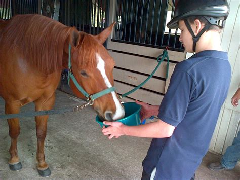 Therapeutic Horsemanship Whispering Manes Therapeutic Riding Center