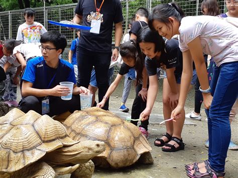 全新獨特玩法 首推宿營、攀樹、餵食 壽山動物園暑假新體驗 Yahoo奇摩汽車機車