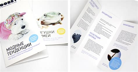 Зоовет on Behance