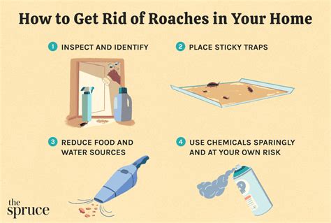 How To Get Rid Of Roaches In Your Home