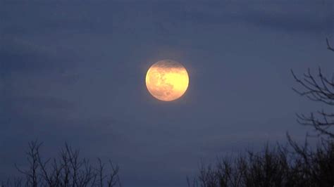 La Luna Piena Del Cacciatore Arriva Sui Cieli Di Torino Quando E