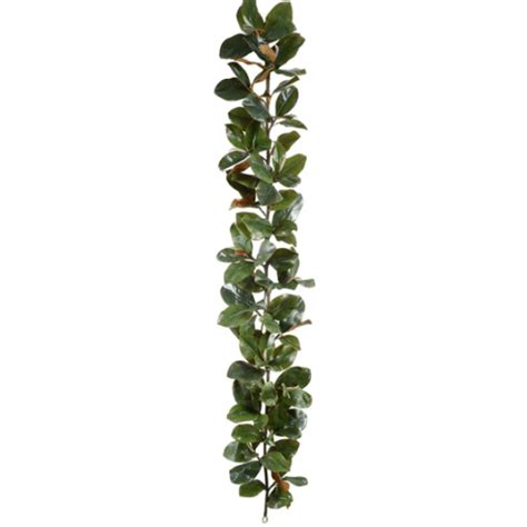 6' Magnolia Leaf Garland Classic