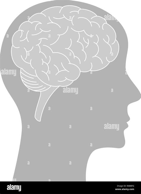 Symbole Du Cerveau Banque D Images Noir Et Blanc Alamy