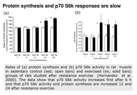 Ppt Molecular Exercise Physiology Skeletal Muscle Hypertrophy Seminar