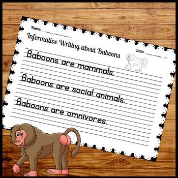 Baboons Informative Sentence Writing Practice Worksheets With True Facts