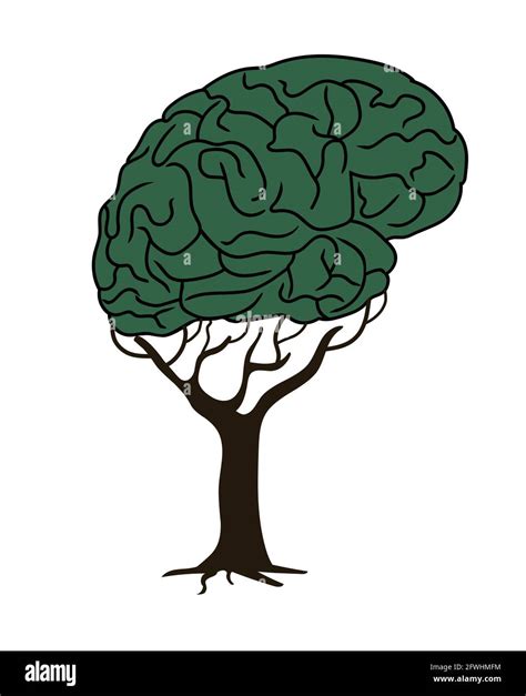 Brain Tree Clipart Vector Illustration Stock Vector Image Art Alamy