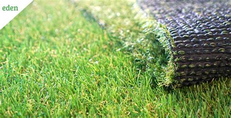 Artificial Grass vs. Natural Grass: Environmental Impact | Eden Lawn ...