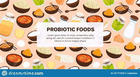 Probiotic Sources Hand Drawn Infographic Poster With Probiotic Foods