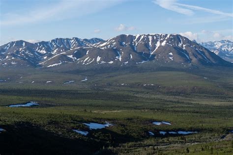 How To Hike Denali S Savage Alpine Trail Savage River Loop Trail