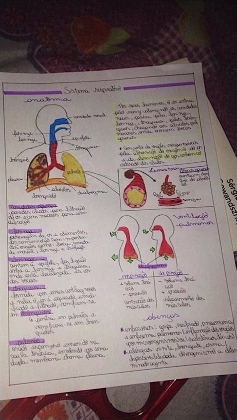 Mapas Mentais Sobre Anatomia Humana Study Maps Science Notes