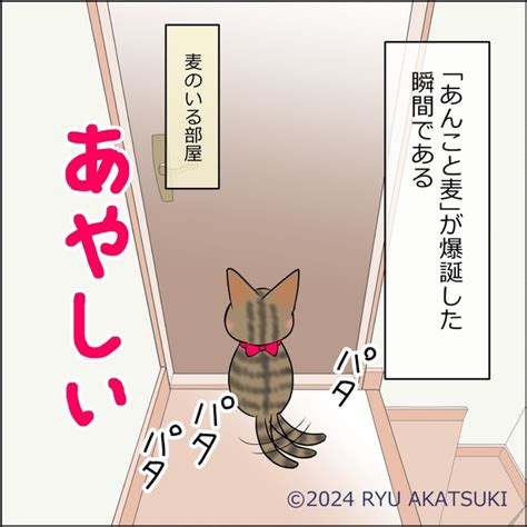 ＜画像26 102＞【ネコ漫画】夢にまでみた「猫との生活」を手にいれた！生きててよかった猫との日常をリアルに描いたネコ漫画に共感の嵐