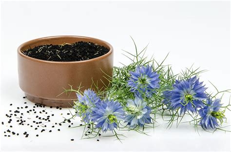 Benefits of Black Cumin (Kalonji) - Healthier Steps