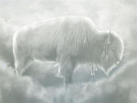 Legend of the White Buffalo @ Ya-Native.com | White buffalo, White ...